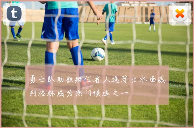 勇士队助教继任者人选浮出水面威利格林成为热门候选之一