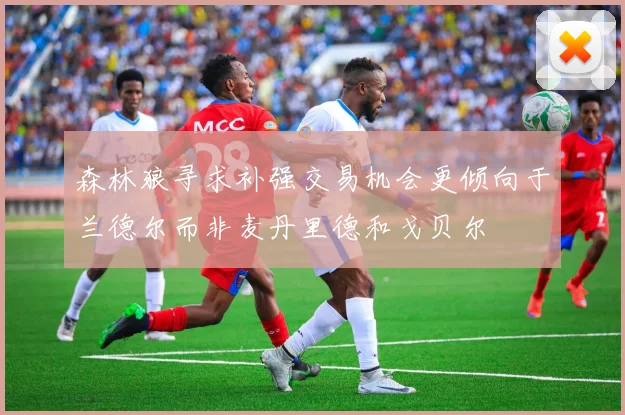 森林狼寻求补强交易机会更倾向于兰德尔而非麦丹里德和戈贝尔