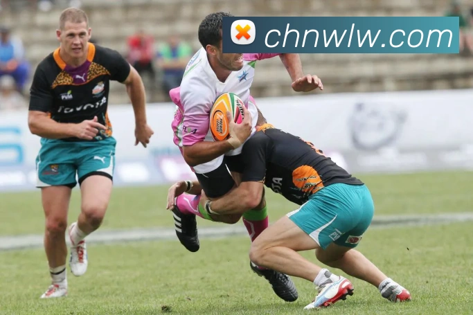 奖项图1